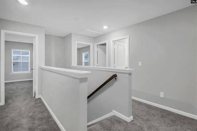 423 Olive Grouse Lane Photo 34