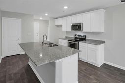 423 Olive Grouse Lane photo 4