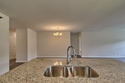 422 Olive Grouse Lane photo 4