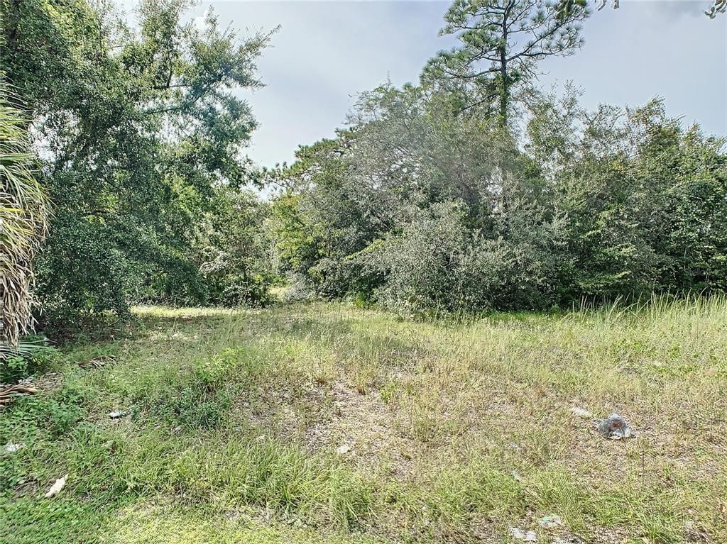 0 N John Young Pkwy, Kissimmee, FL 34741 Photo