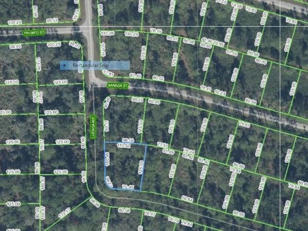 8746 ROBBIA STREET, SEBRING, FL 33872