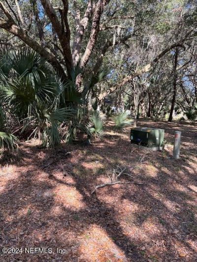 000-01 SE 159th Lane, Umatilla, FL 32784 Photo