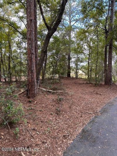 000-01 SE 159th Lane, Umatilla, FL 32784 Photo