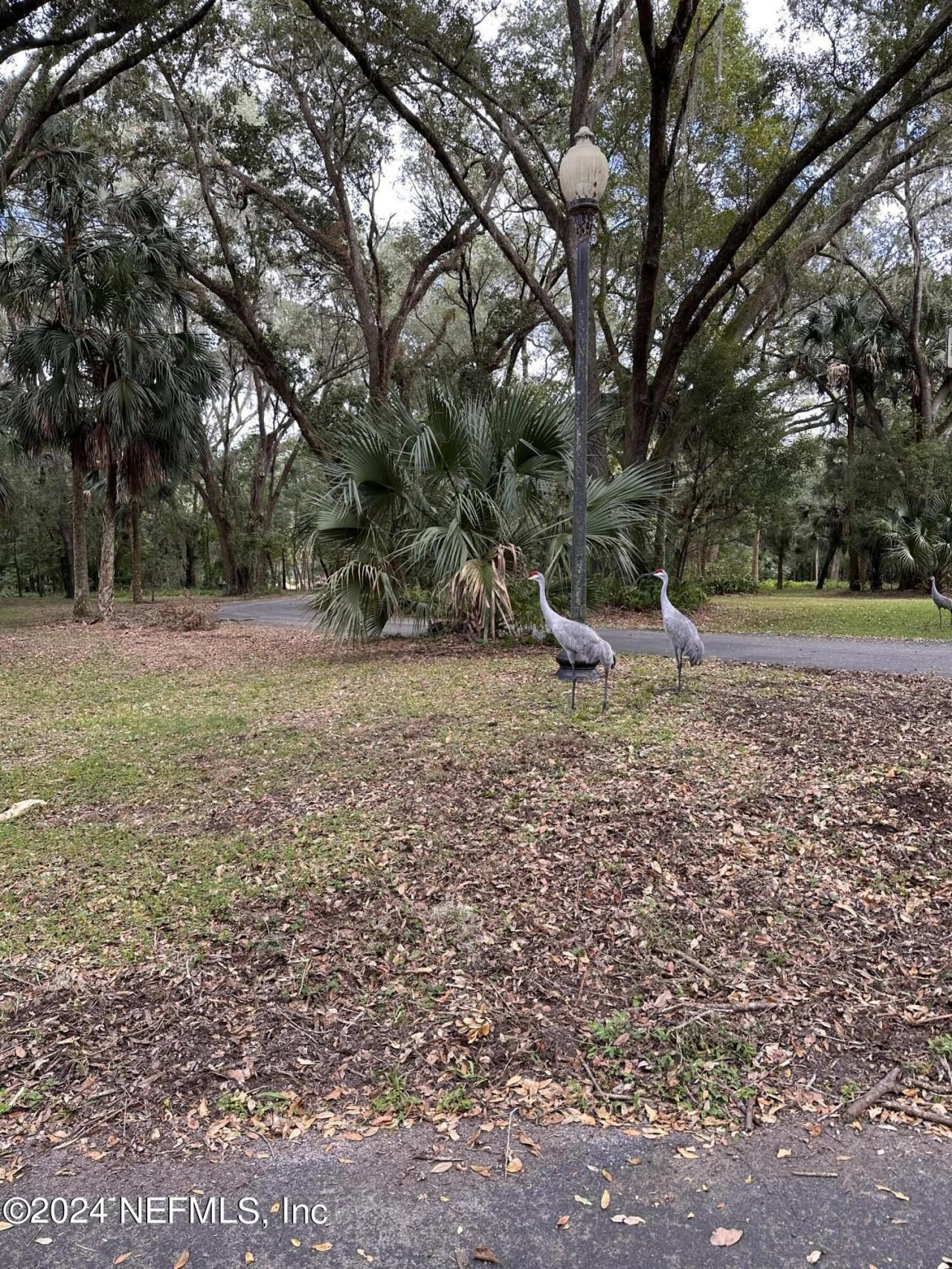 000-08 SE 265th Court Road, Umatilla, FL 32784 Photo