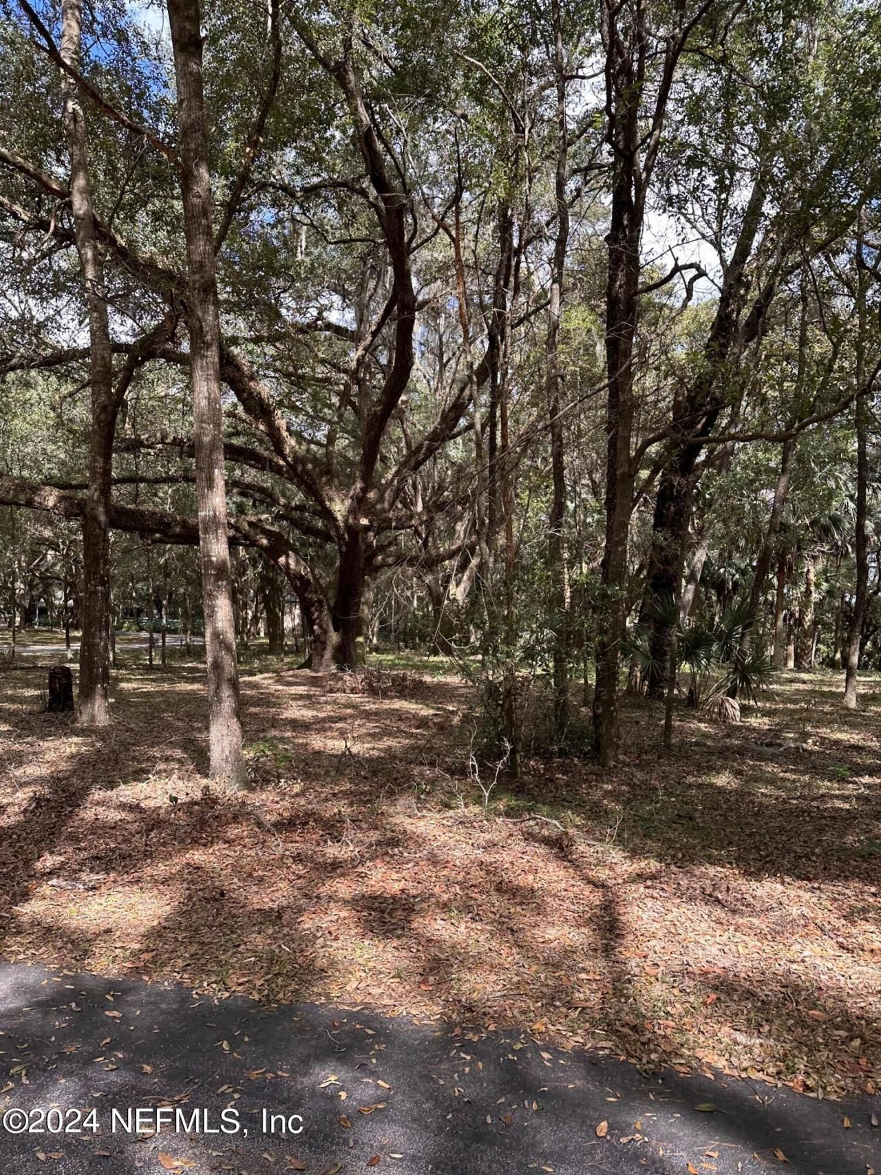 000-08 SE 265th Court Road, Umatilla, FL 32784 Photo