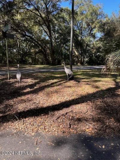 000-08 SE 265th Court Road, Umatilla, FL 32784 Photo