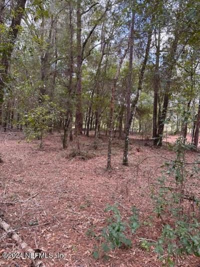 000-08 SE 265th Court Road, Umatilla, FL 32784 Photo