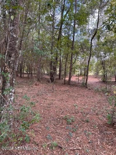 000-08 SE 265th Court Road, Umatilla, FL 32784 Photo