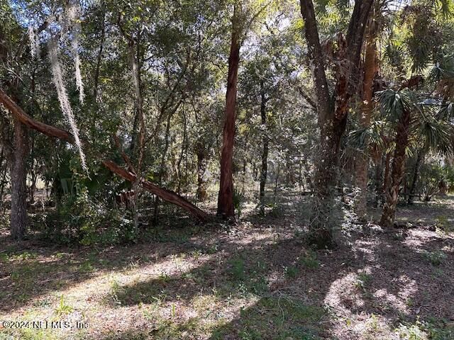 000-13 SE 265th Court Road, Umatilla, FL 32784 Photo