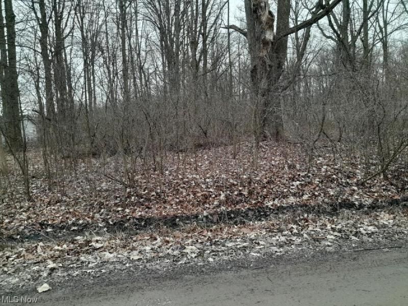 Lakeview Road, West Farmington, OH 44491 Photo 1