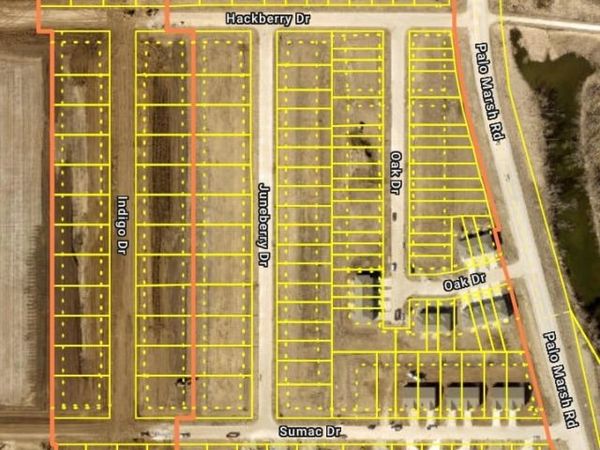 Lots 217 & 218 Juneberry Drive, Palo, IA 52324