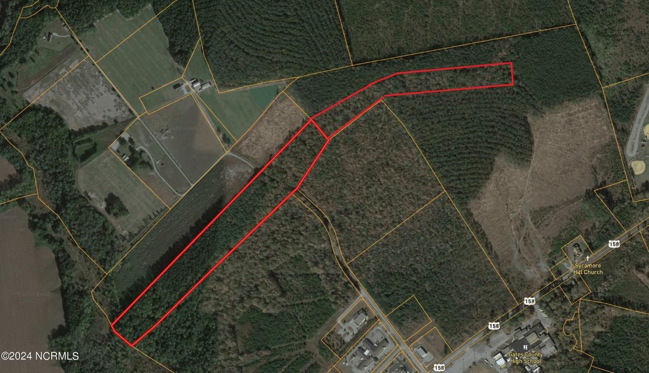 Tbd Soney Lane, Gatesville, NC 27938 Main Photo