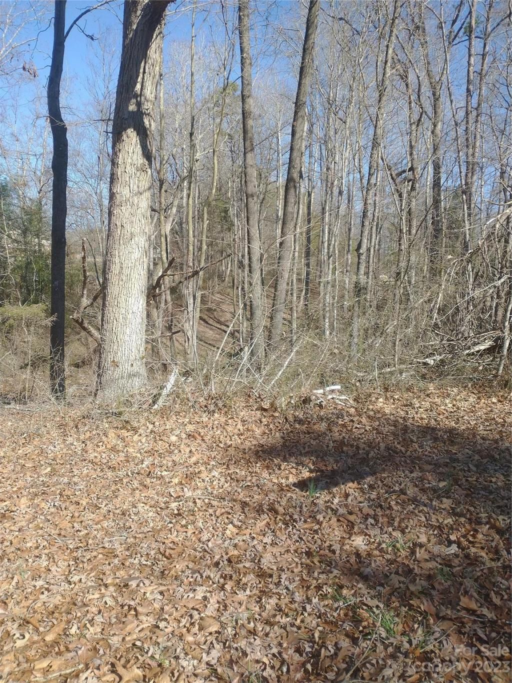 3360 Tolley Street, Claremont, NC 28610 Main Photo