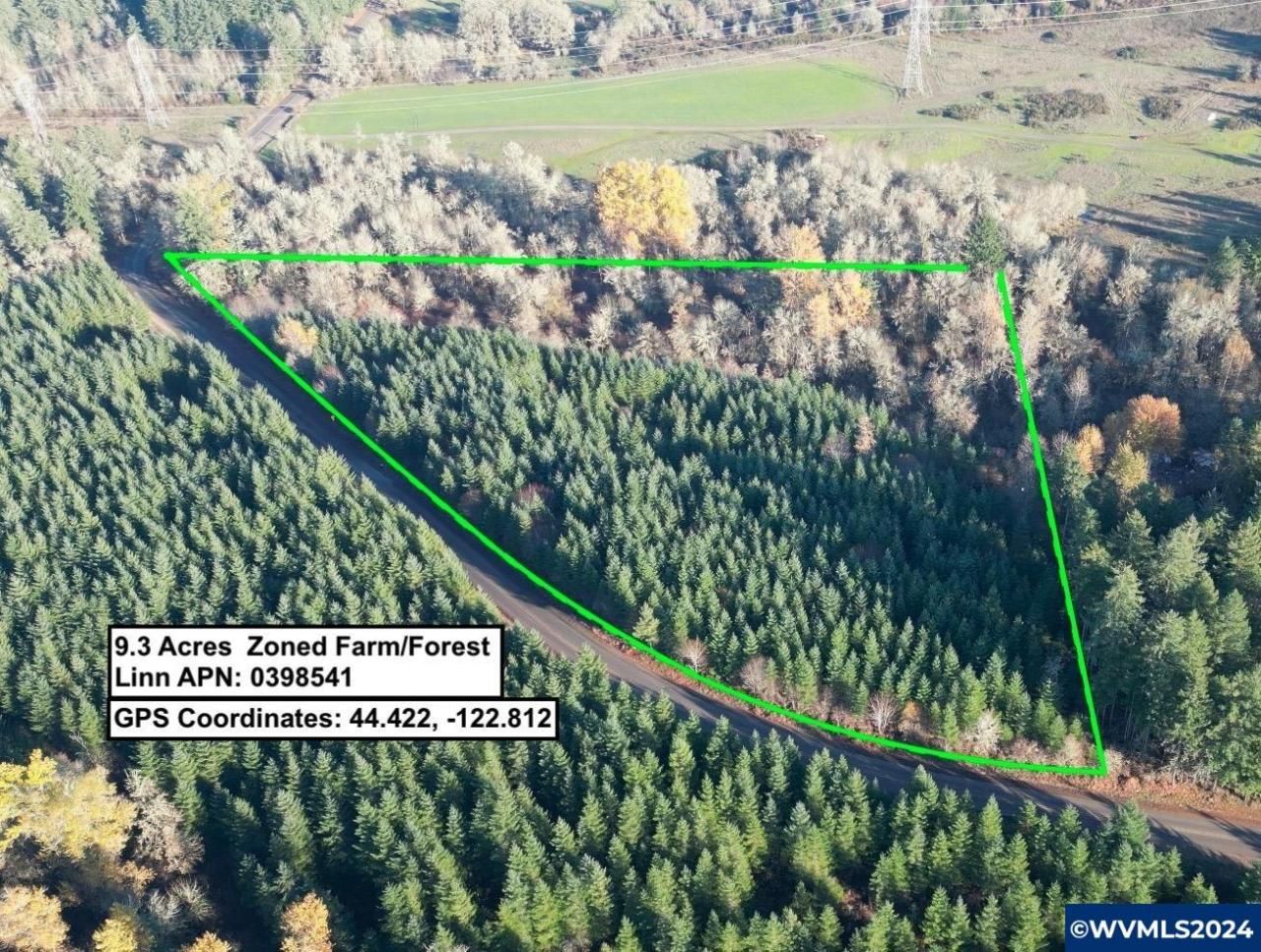 28289 Scott Mountain (next To) Rd, Sweet Home, OR 97386 Main Photo