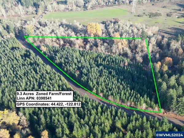 28289 Scott Mountain (Next to) Rd, Sweet Home, OR 97386