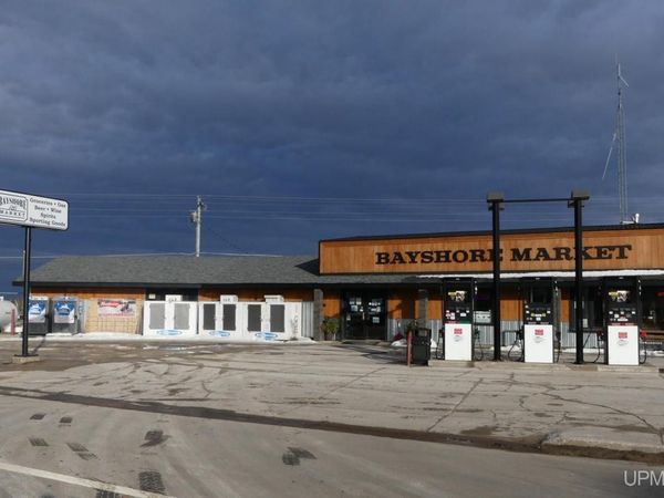 14284 N Lake Avenue, Burt Twp, MI 49839