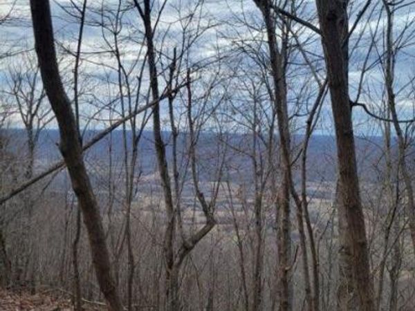 0 Little Bedford Road, Spring City, TN 37381