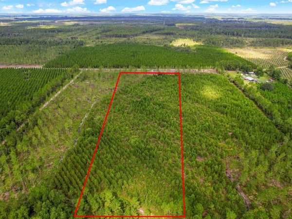 Lot 8 GEORGIA Street, Hilliard, FL 32046