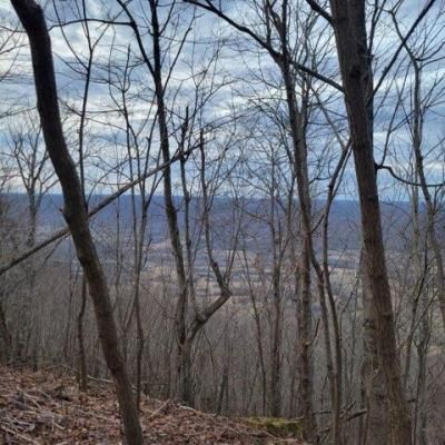 0 Little Bedford Road, Spring City, TN 37381 Main Photo