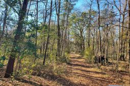 7085 Inman Road photo 4