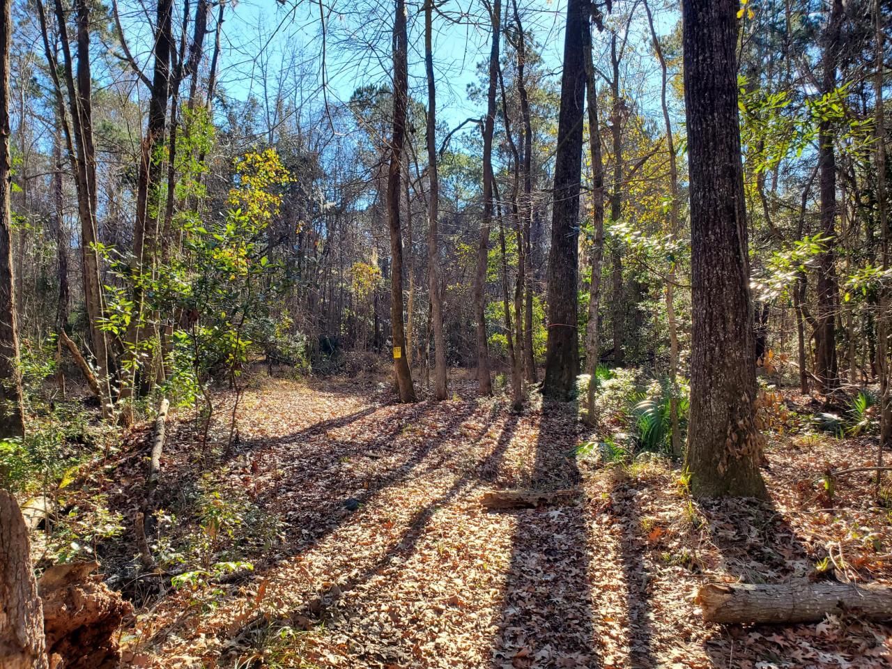 7085 Inman Road Photo 4