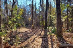 7085 Inman Road photo 4