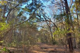 7085 Inman Road photo 4