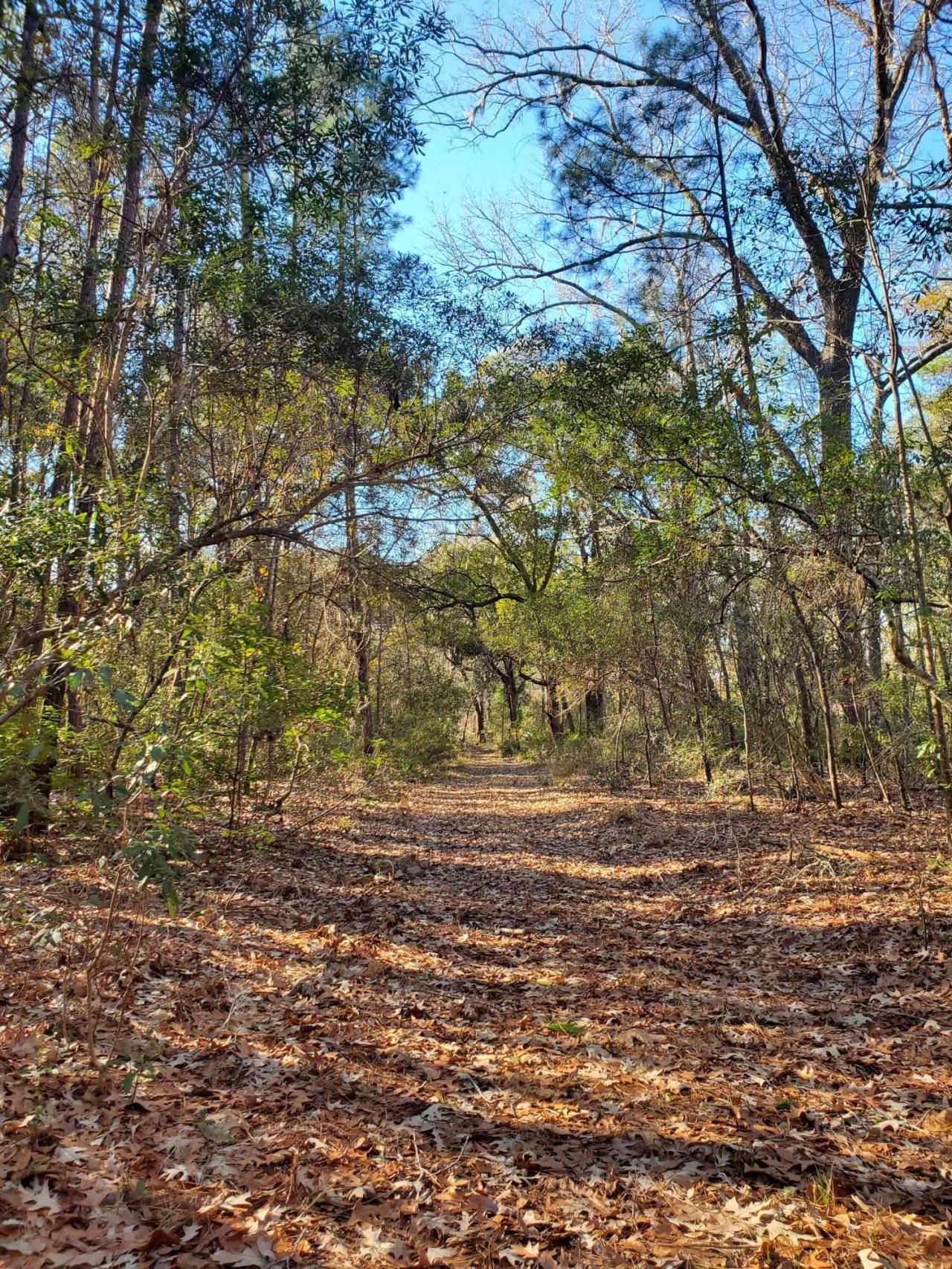 7085 Inman Road Photo 6