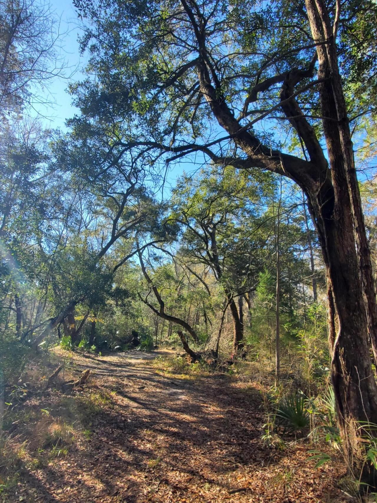 7085 Inman Road Photo 7