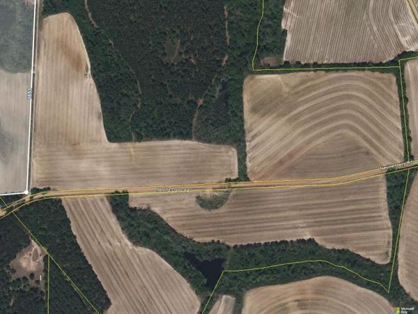 0 Hwy 301 S, Register, GA 30452