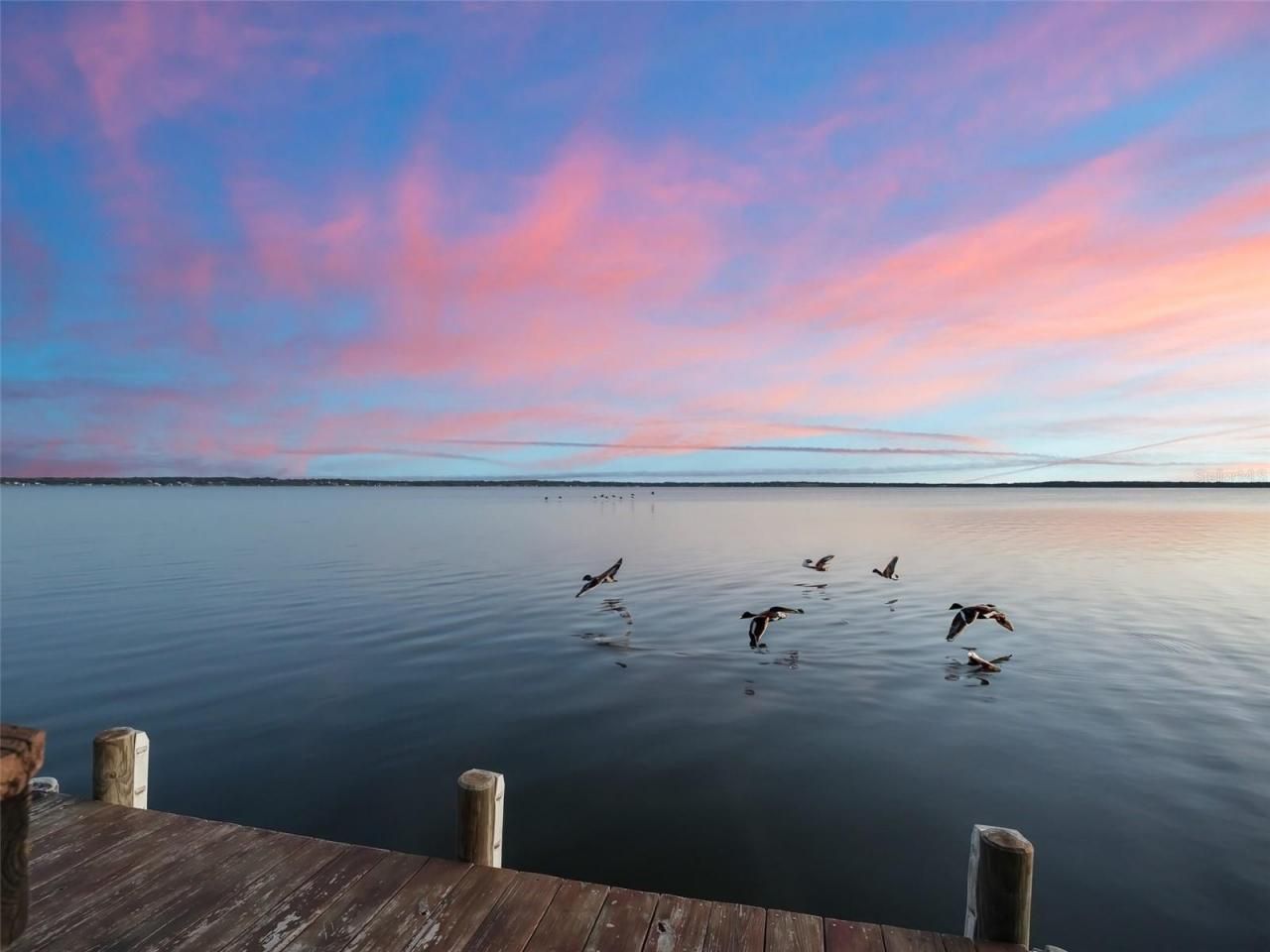 12730 E Highway 25, Ocklawaha, FL 32179 Photo