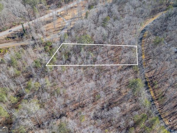 LOT 50 Tranquility At Carters Lake, Ellijay, GA 30540