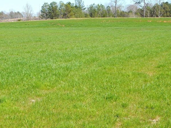 7 Graysport Crossing Road, Gore Springs, MS 38929