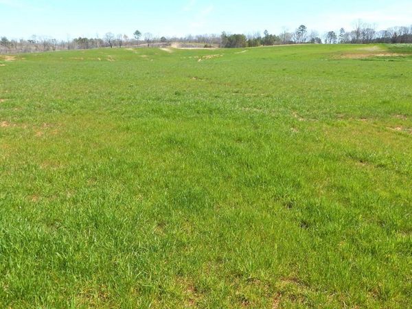 769 Graysport Crossing Road, Gore Springs, MS 38929