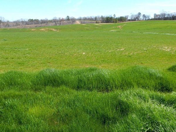 779 Graysport Crossing Road, Gore Springs, MS 38929