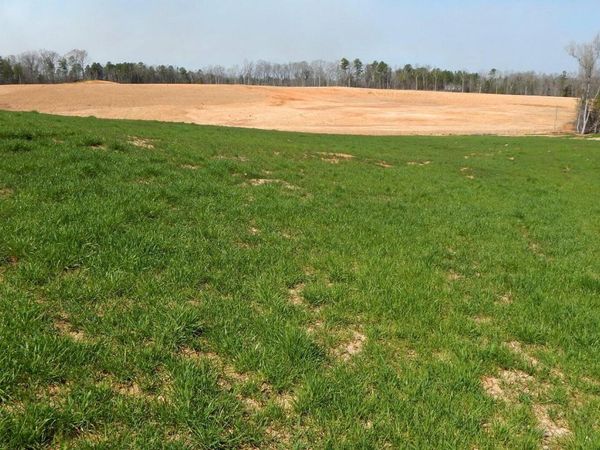 686 Graysport Crossing Road, Gore Springs, MS 38929