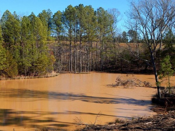 732 Graysport Crossing Road, Gore Springs, MS 38929