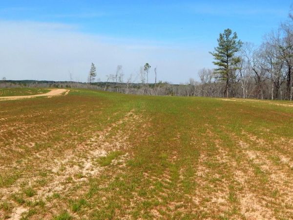 706 Graysport Crossing Road, Gore Springs, MS 38929