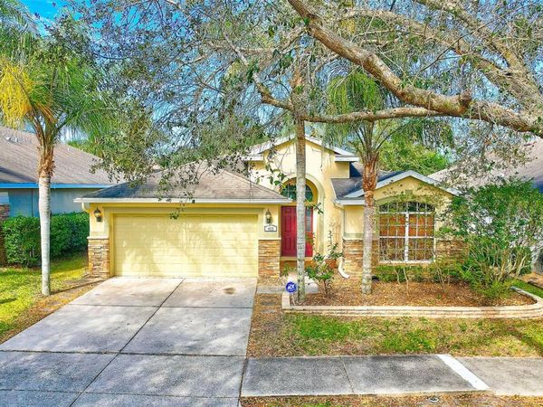 422 DOWN PINE DRIVE, SEFFNER, FL 33584