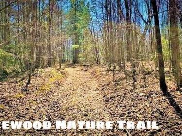 lot 72 Lakewood Subdivision, Corbin, KY 40701