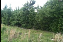 00 Bickley Road photo 4