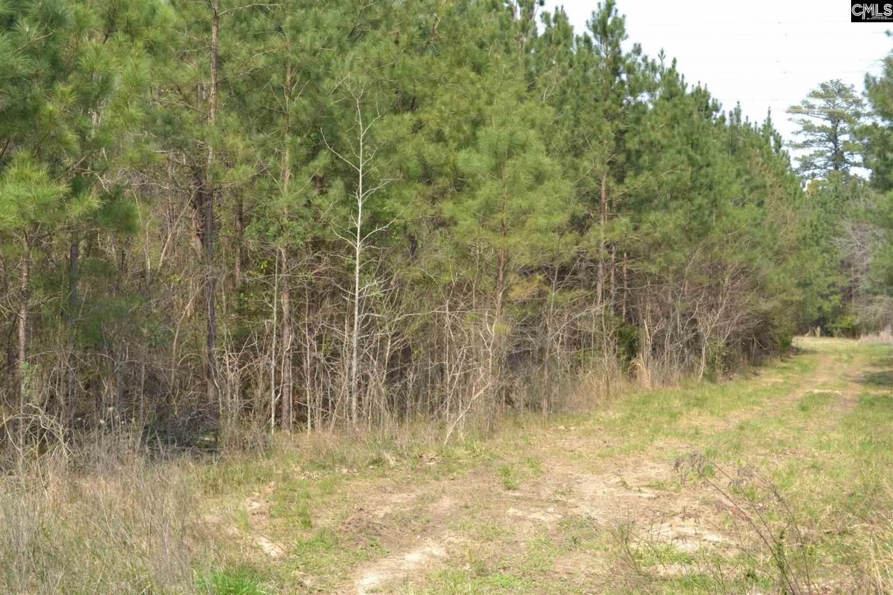 00 Bickley Road Photo 9