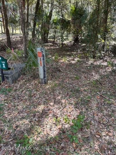 000-10 SE 265th Court Road, Umatilla, FL 32784 Photo