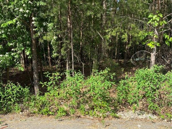 0 Redwood Lane, Elkview, WV 25071