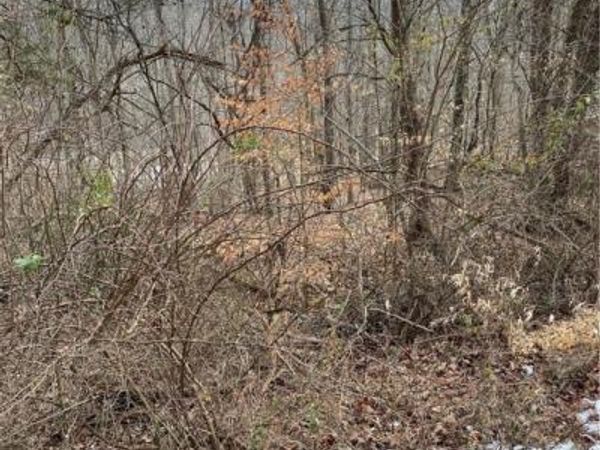 0 Sunrise Lane, Cross Lanes, WV 25313