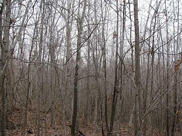 0 MCCULLOUGH ROAD, Morris Chapel, TN 38361