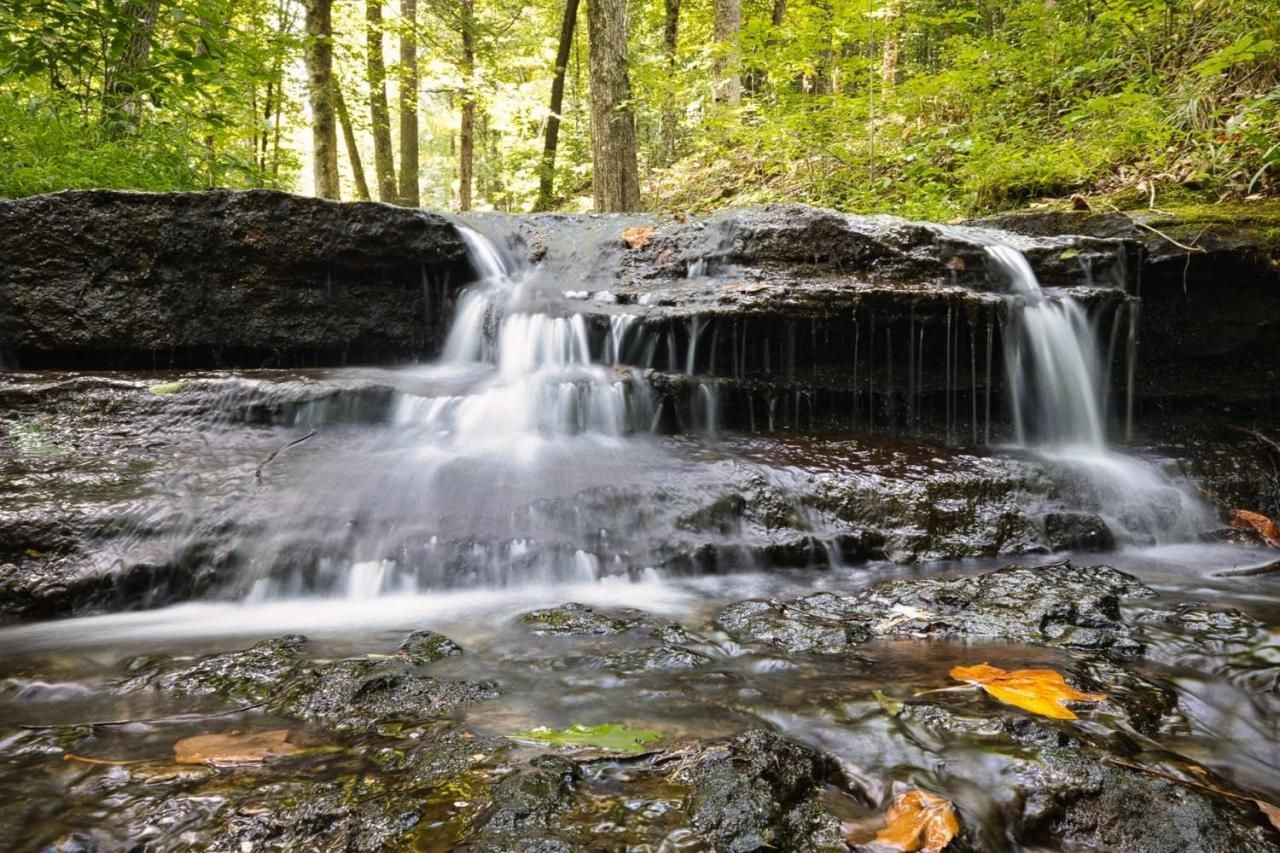 208 Kro Hollow Rd Rd, Hohenwald, TN 38462 Main Photo