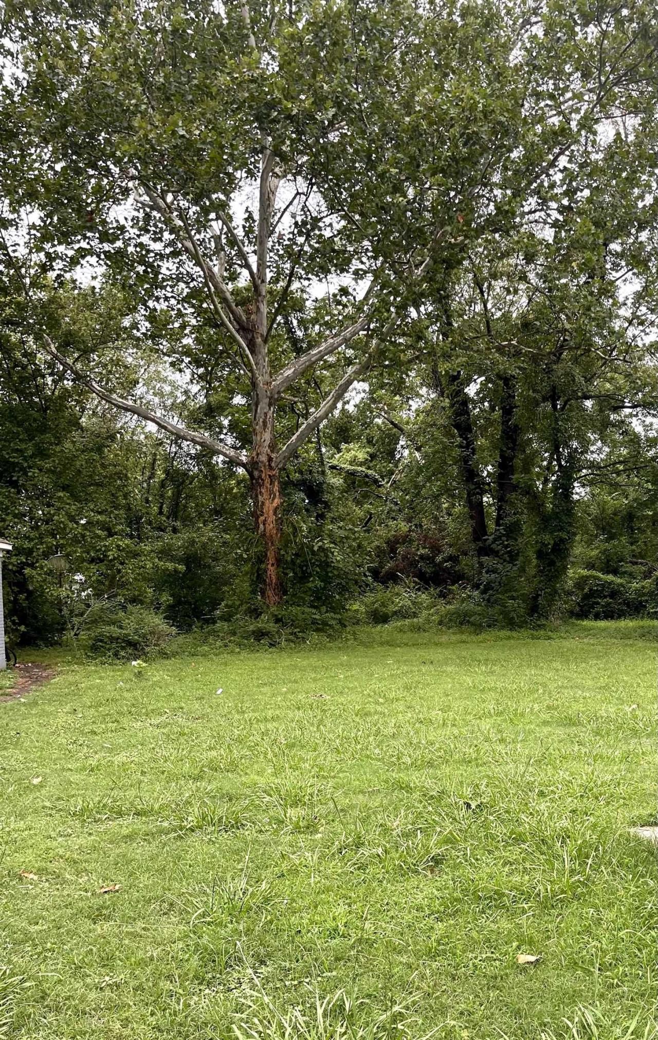 1495 N Trezevant St, Memphis, TN 38108 Main Photo