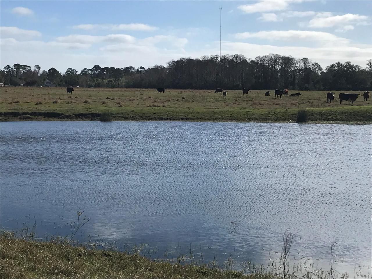 4918 N Fort Christmas Road, Christmas, FL 32709 Photo