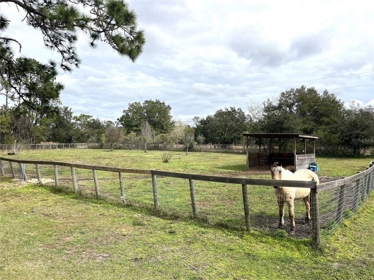 8529 Kenton Road, Wesley Chapel, FL 33545 Photo